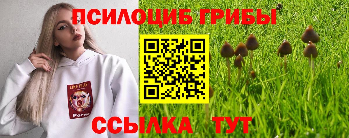 Гусь-Хрустальный  Псилоцибиновые грибы ЛСД  Вход с VPN 